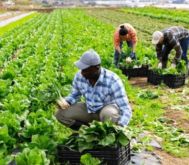 DIDIA Farms Services